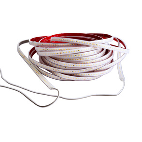 LED Stripes ab IP44 bei Raabe Elektro-Anlagen GmbH in Eisenach